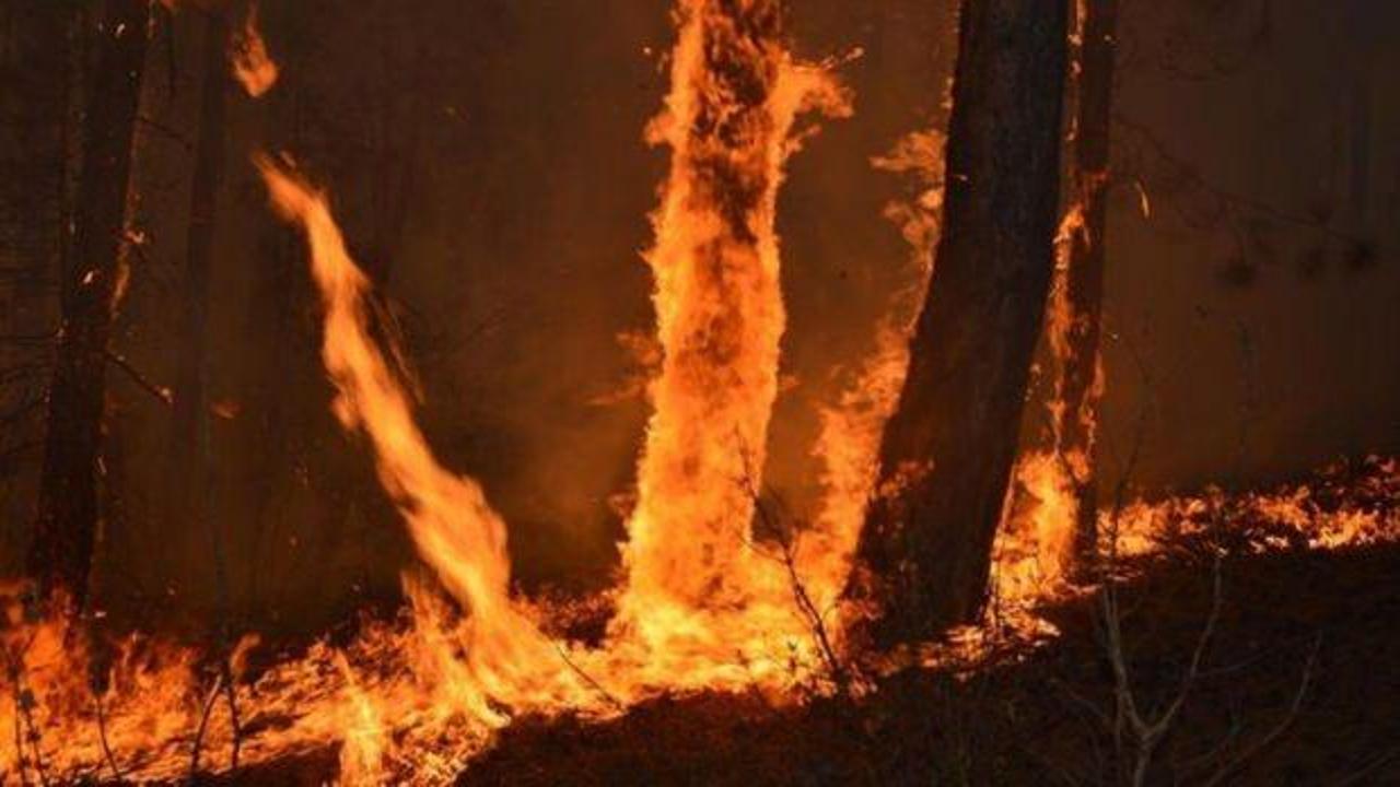 Eskişehir'de yangın! Kontrol altına alındı