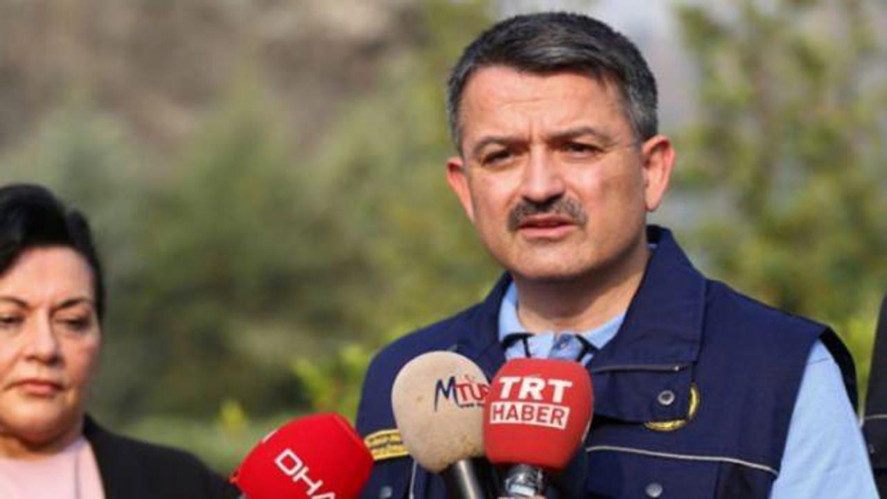 Hükümetten İzmir'deki yangın hakkında açıklama