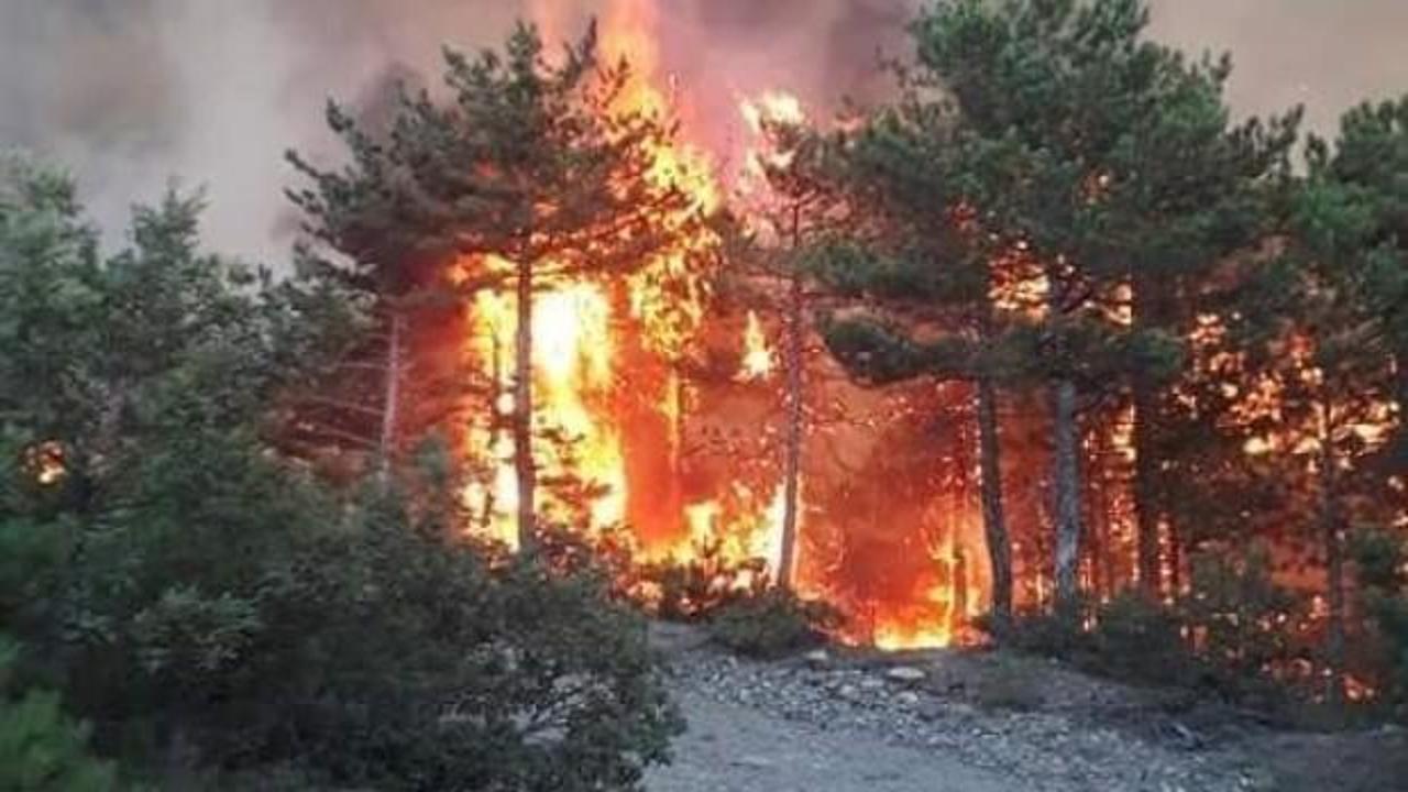 Kütahya'daki orman yangını kontrol altına alındı!