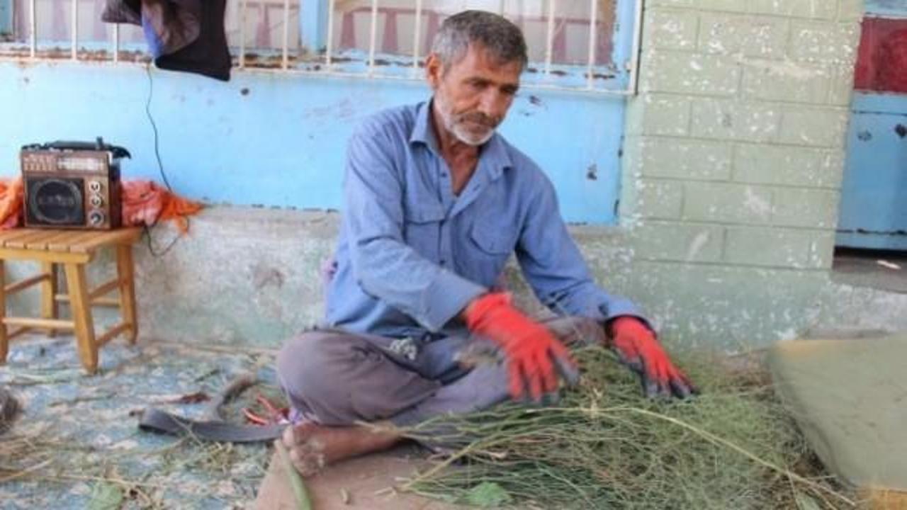 Tanesi 5 lira! Belediyelerden sipariş yağıyor
