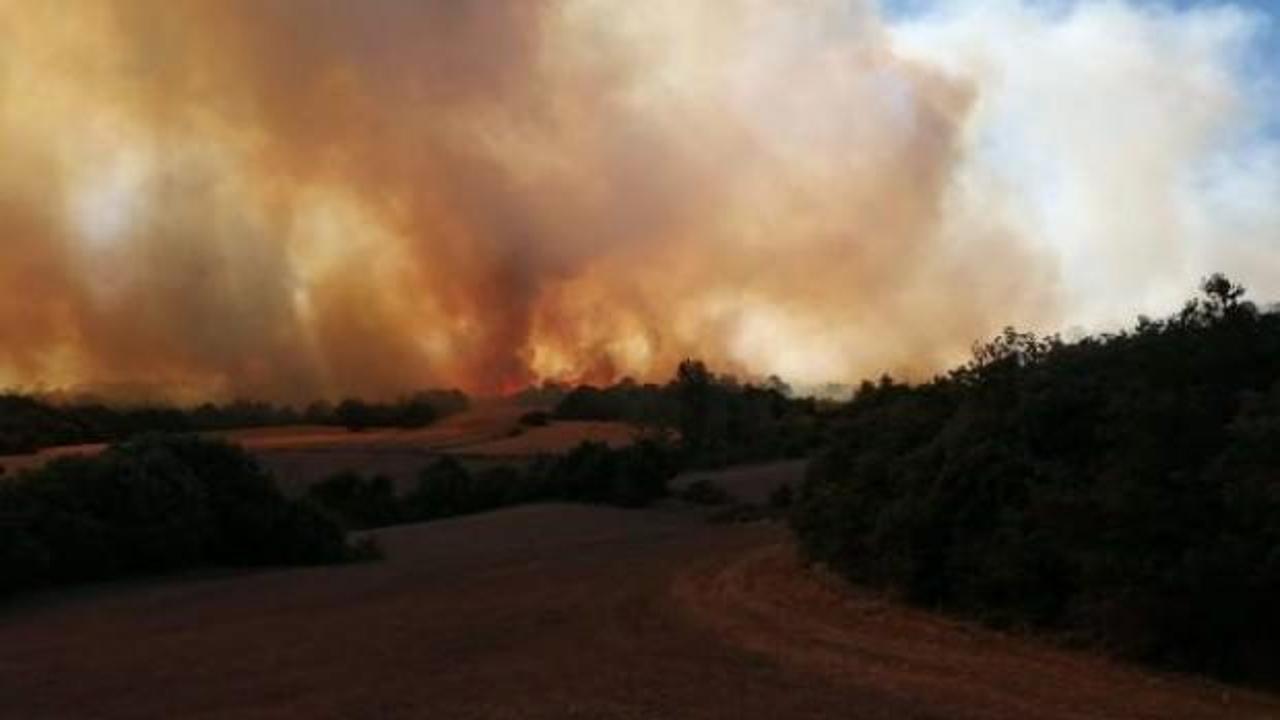 Yenişehir'deki orman yangınıyla ilgili 3 gözaltı