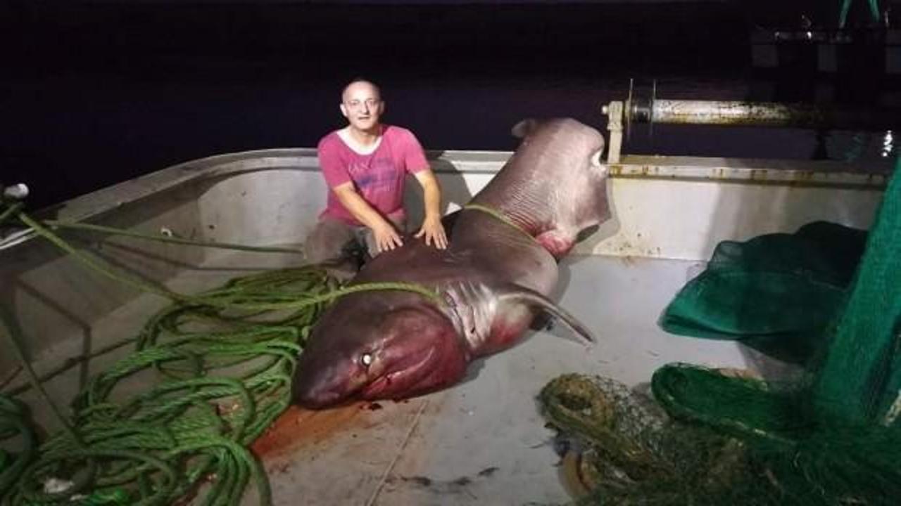 Balıkçılar yakaladı: Uzunluğu 5 metre ağırlığı 1 ton