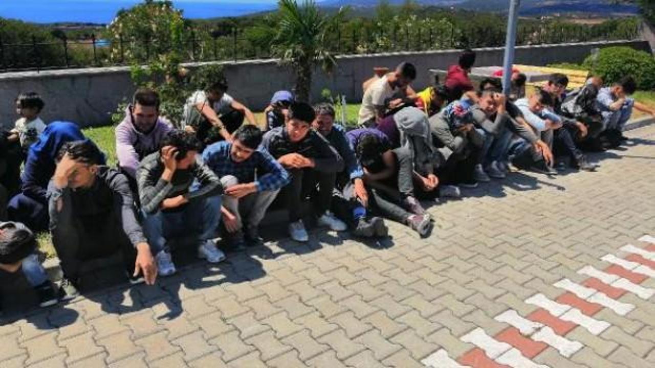 Çanakkale'de 80 kaçak göçmen yakalandı