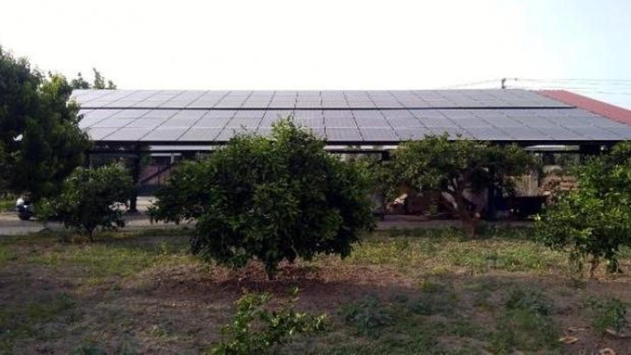 Çiftliğine güneş enerjisi sistemi kuran üretici borçlu çıktı