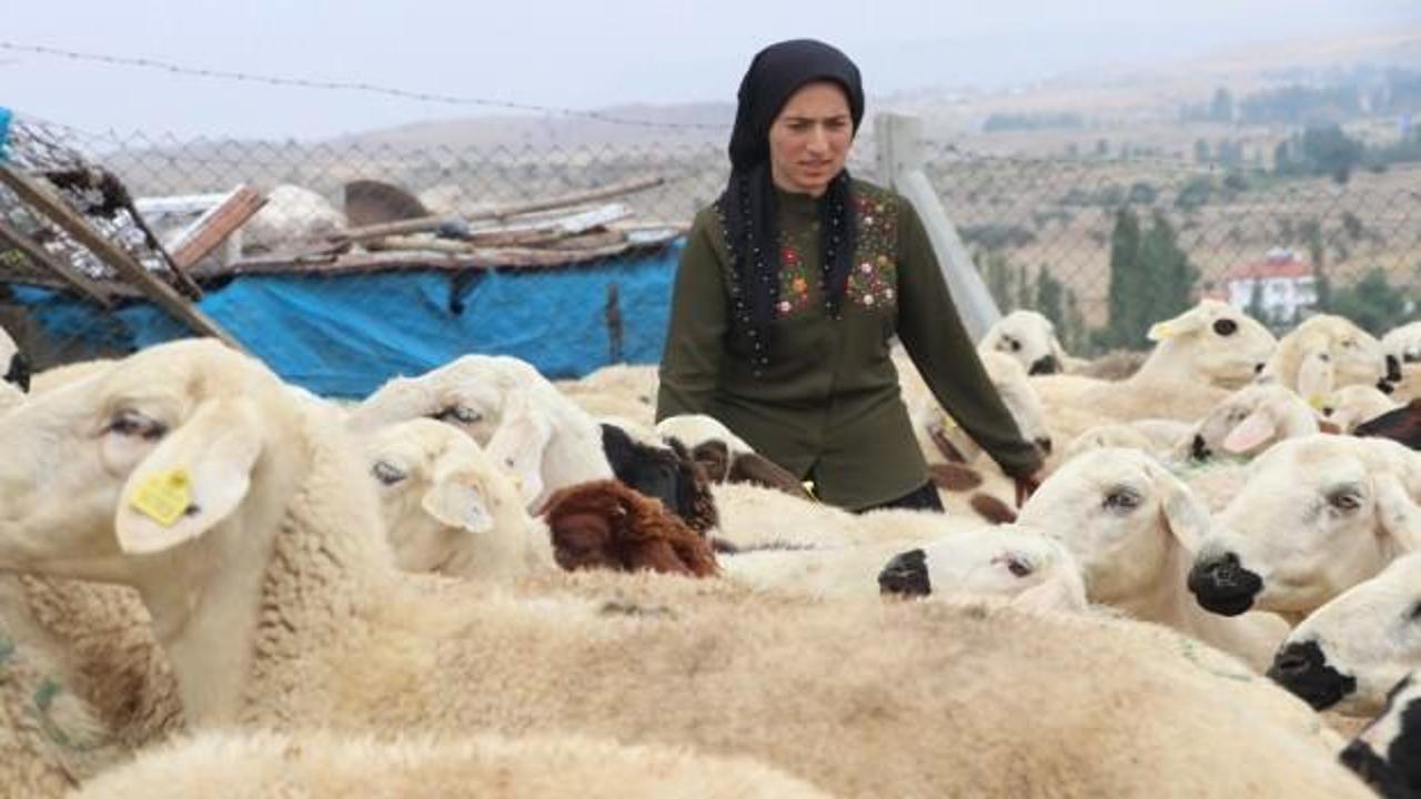 Hibe desteği ile başladı, şimdi &ccedil;iftlik kurdu