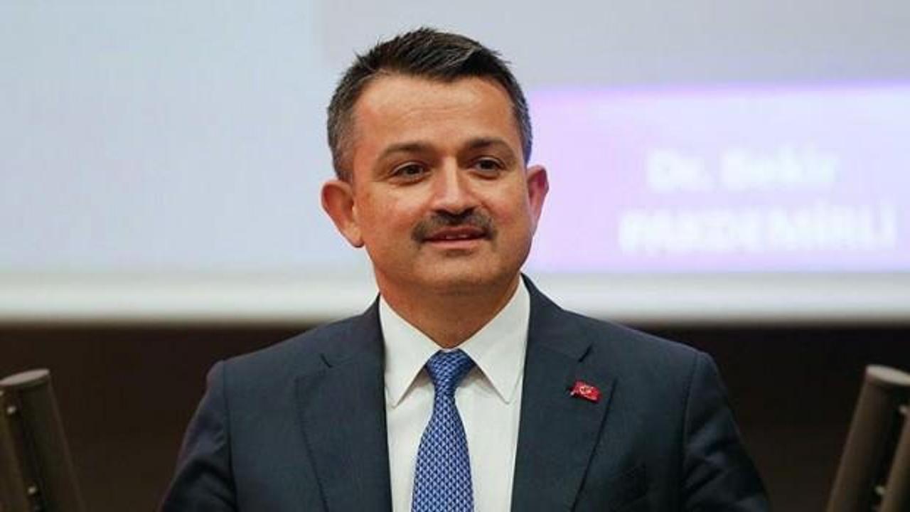 Bakan açıkladı: Trabzon'da kurulacak