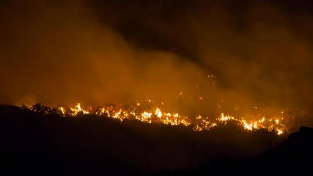Orman yangınları 9 bin kişiyi yerinden etti