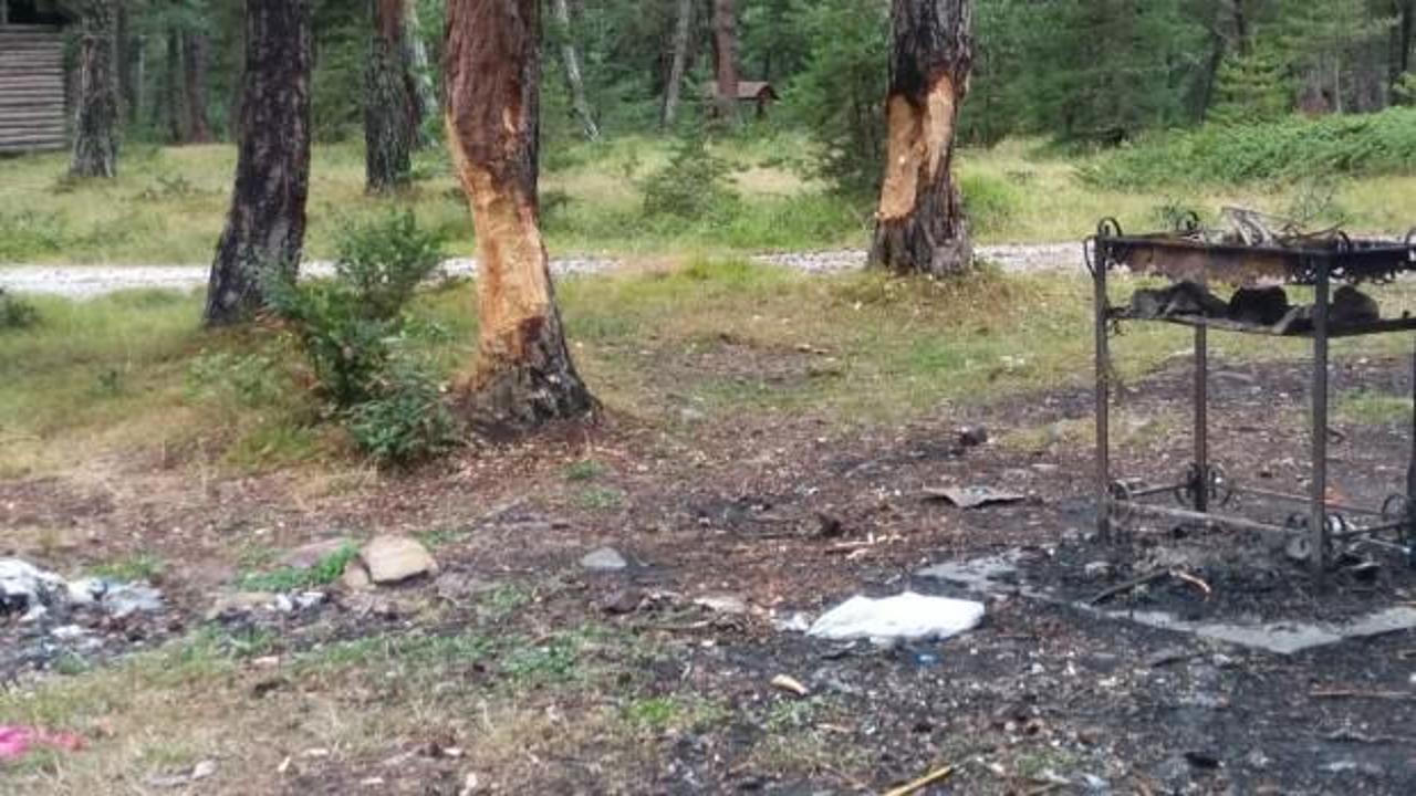 Ormanın içler acısı hali: Piknikçiler mangal için ağaçlara zarar verdi