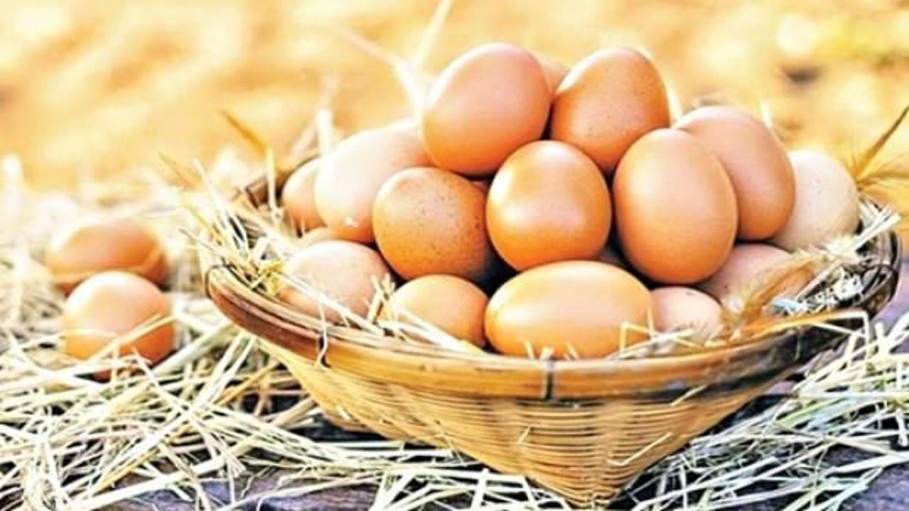Yumurta ihracında yeni pazar heyecanı