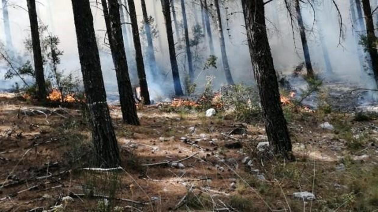Antalya'da orman yangını! Zor müdahale ediliyor