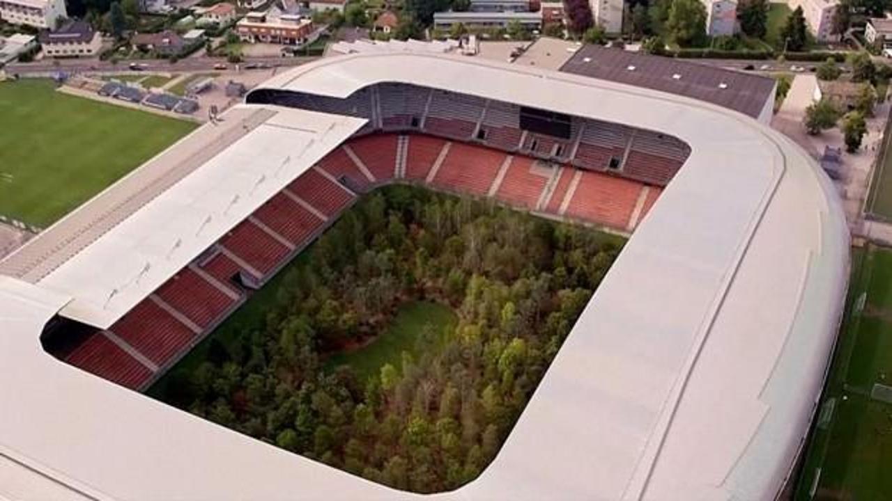 Futbol stadyumuna 300 ağaç dikti