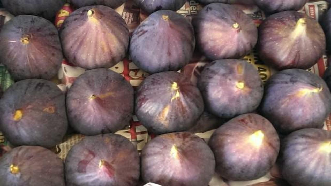 Taze siyah incir Çin pazarında talep gördü