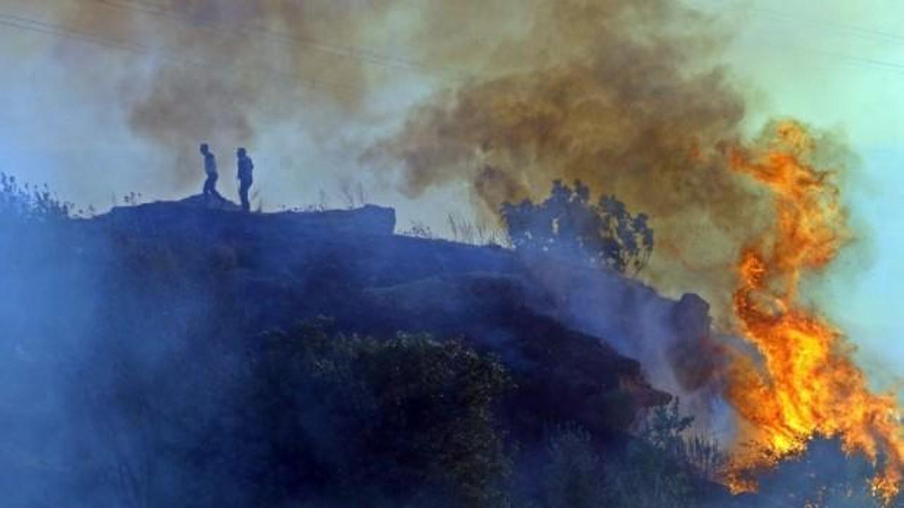 Antalya'da korkutan yangın: Mahalleyi dumanlar kapladı