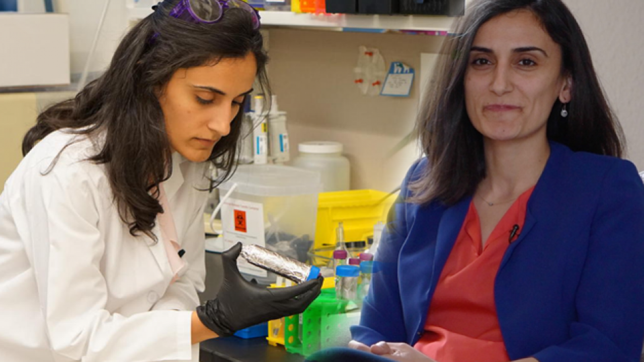 Dr. Canan Dağdeviren meme kanserini teşhis eden sütyen geliştirdi! Canan Dağdeviren kimdir?