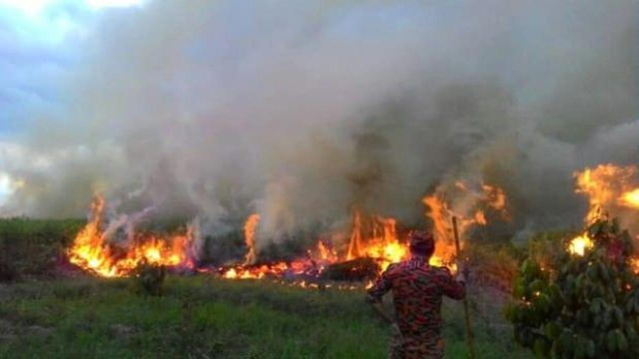 Endonezya'daki yangın Malezya'yı vurdu! Yüzlerce okul kapatıldı