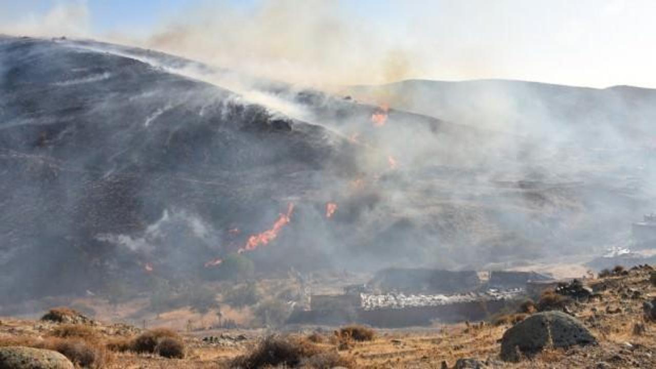 İzmir'in 2 ilçesinde orman yangını