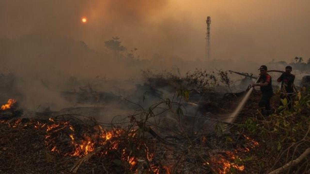 Korkunç rakamı açıkladılar: Binlerce hektar orman kül oldu