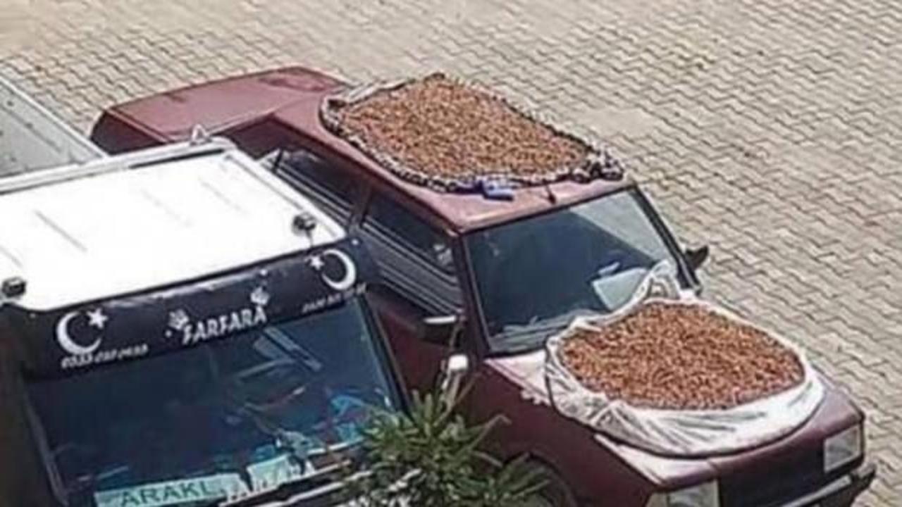 S&uuml;rmeneli mucit fındığı kurutmanın yolunu buldu