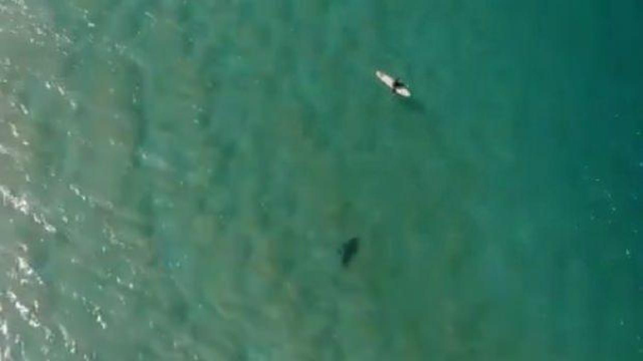 Drone ile köpek balığı saldırısını engelledi!