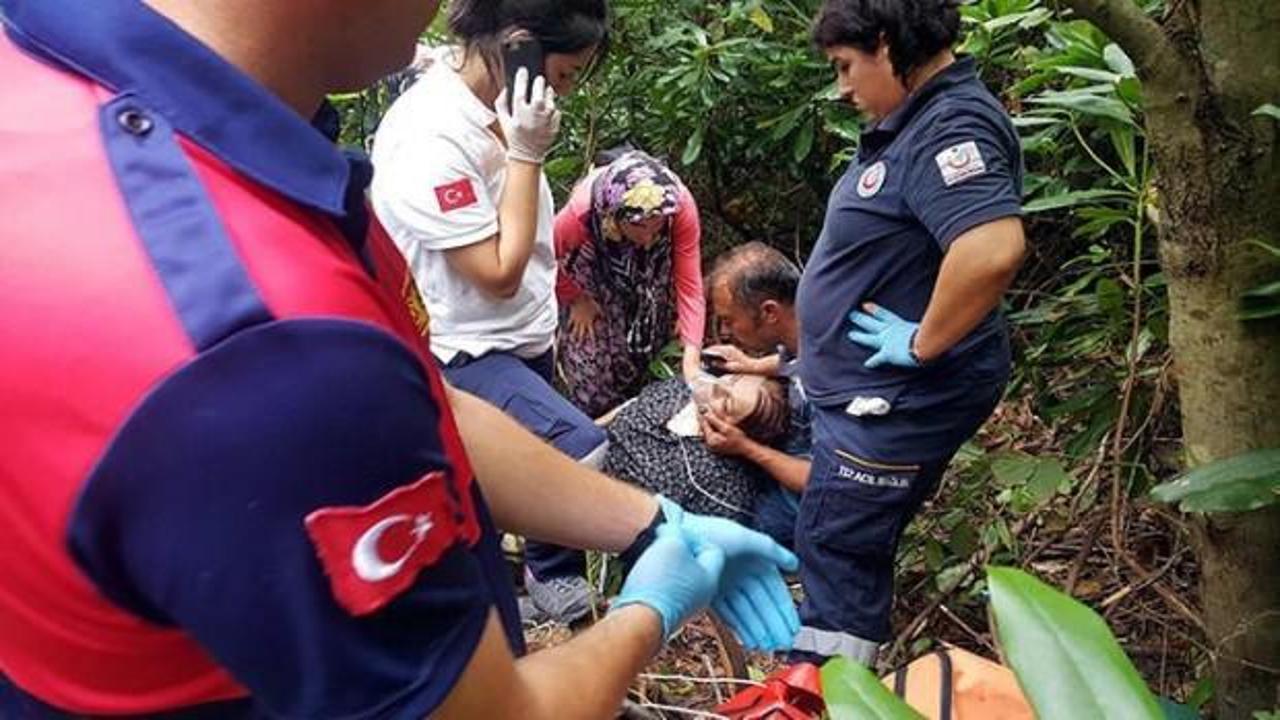 Kestane topluyordu! 50 yaşındaki kadın...