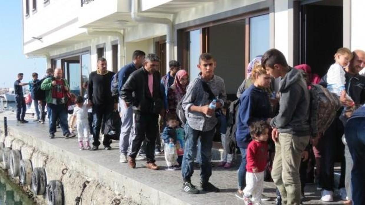 Edirne'de 31 göçmen yakalandı