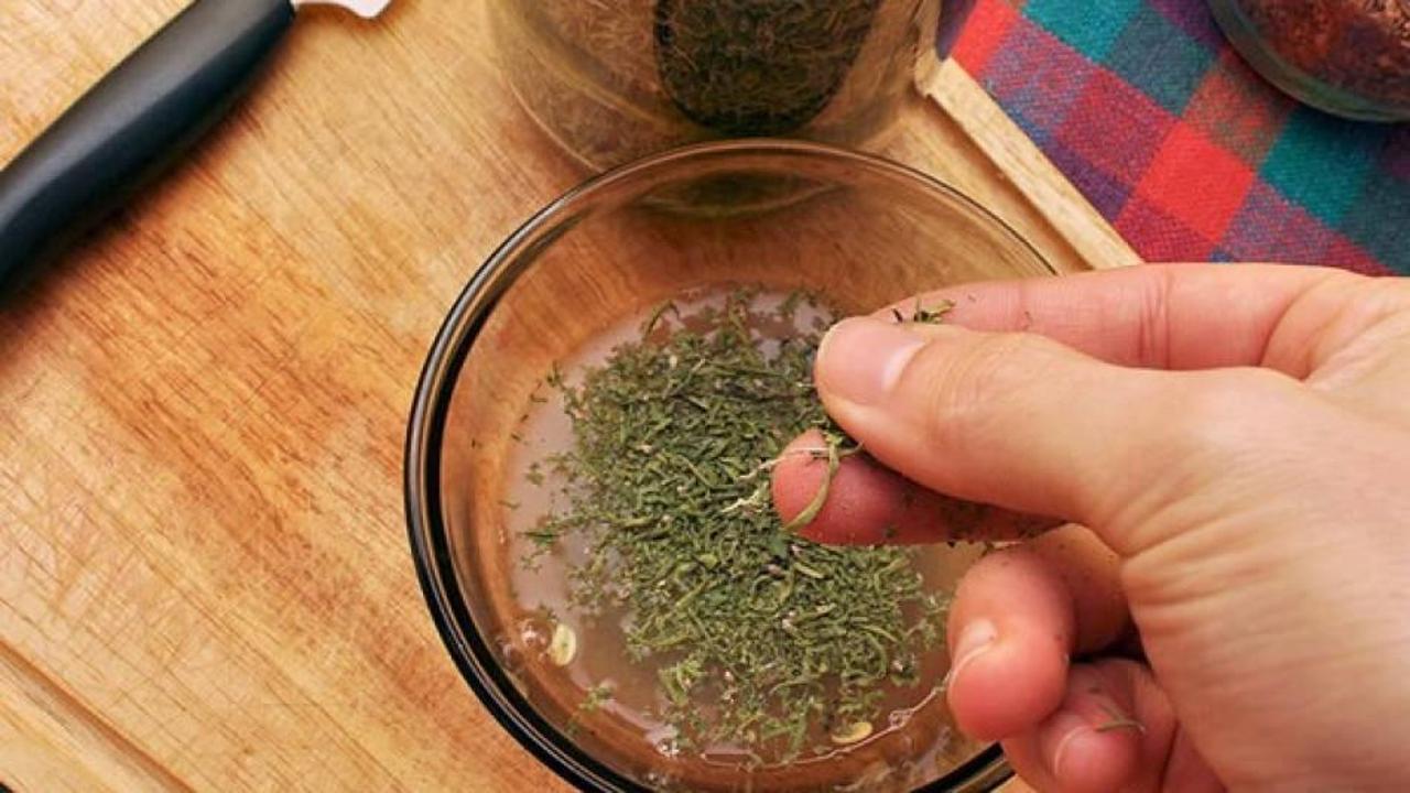 Mercimek otunun (Çıbrıka) faydaları nelerdir? Mercimek otu nerelerde kullanılır?