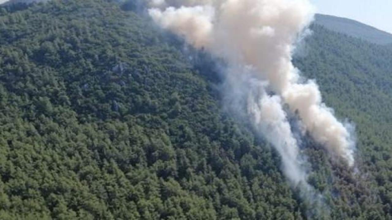 Orman yangınındaki kundaklama iddiasına tutuklama