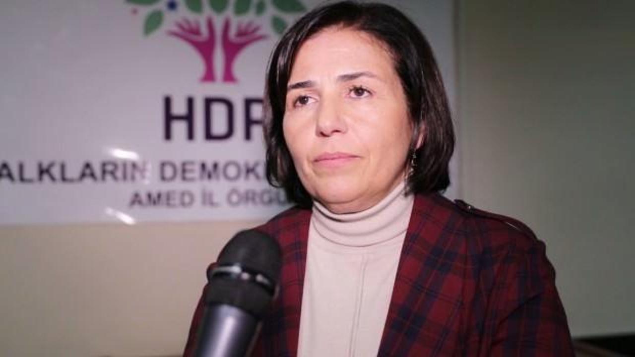 Teröristlere 'şehit' diyen HDP'li başkan hakkında karar!