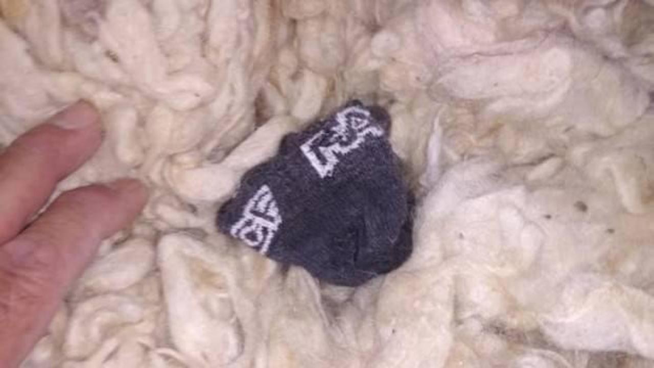 Yok b&ouml;yle olay! Kabartılması i&ccedil;in g&ouml;nderilen yastıktan &ccedil;ıktı