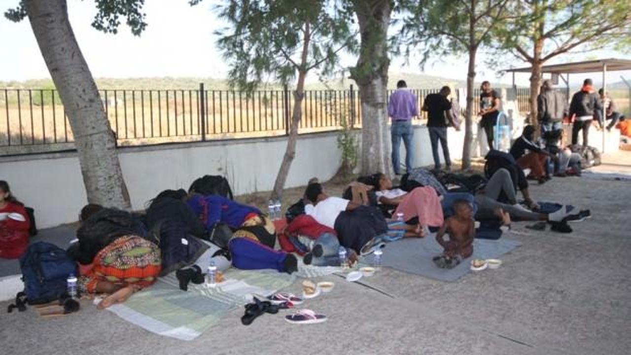 Ayvalık'ta 91 göçmen yakalandı