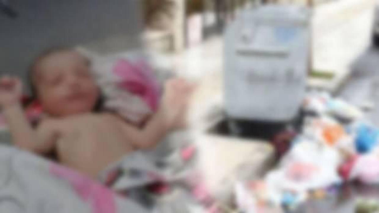 Çöpe atılan bebek köpekler parçalamadan kurtarıldı