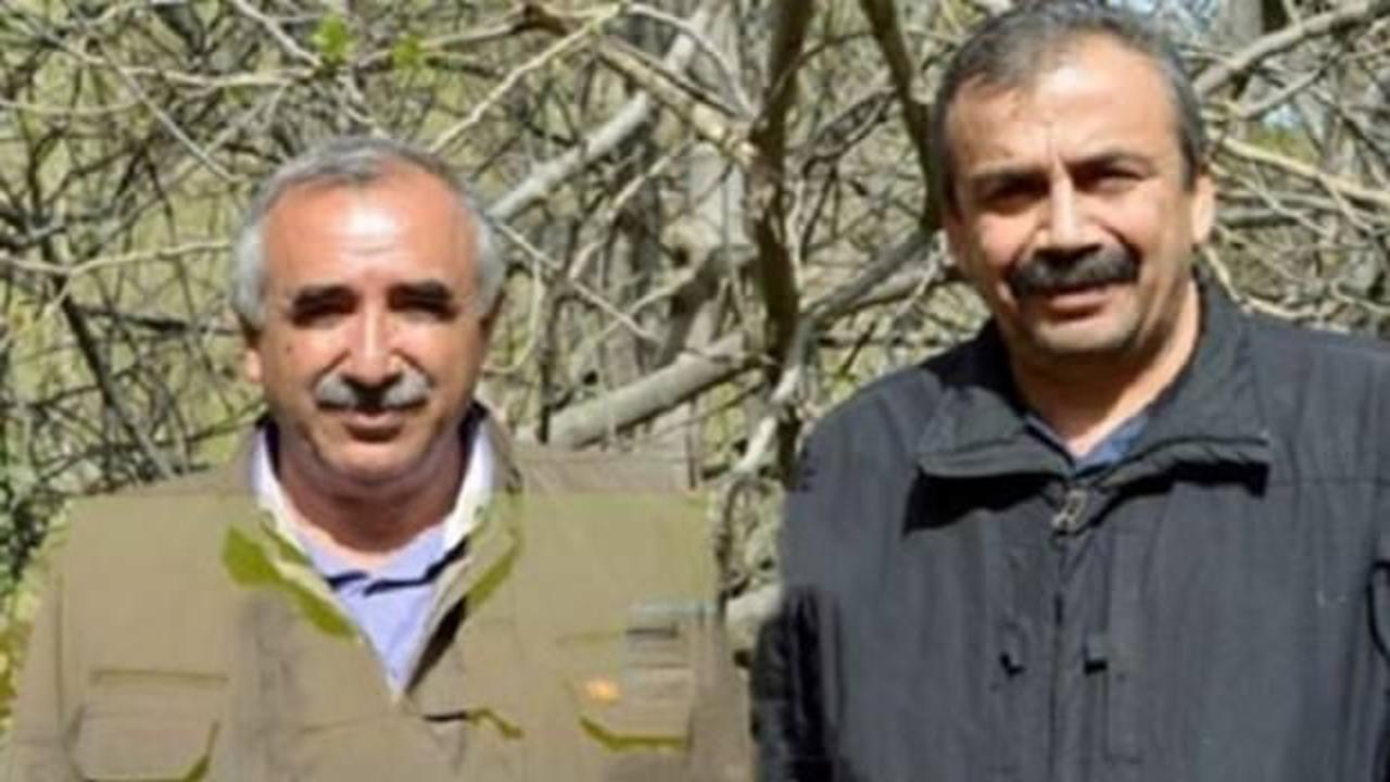 HDP'li Sırrı Süreyya Önder tahliye edildi