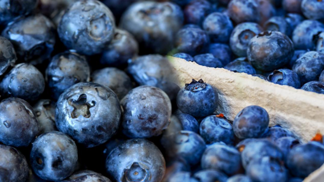 Yaban mersinin cilde faydaları nelerdir? Yaban mersini ile yapılan cilt bakım maskeleri