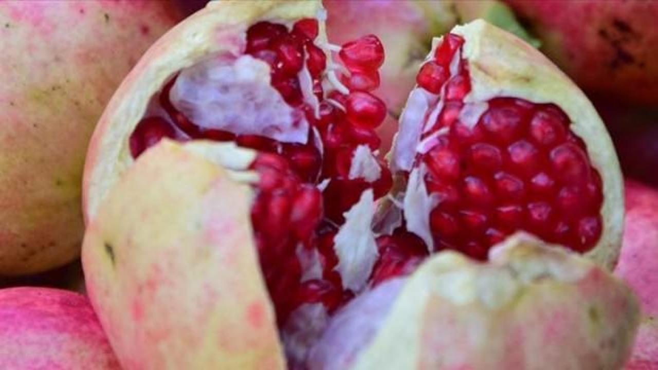 'Deve dişi nar' bereketi! Fiyatı arttı...