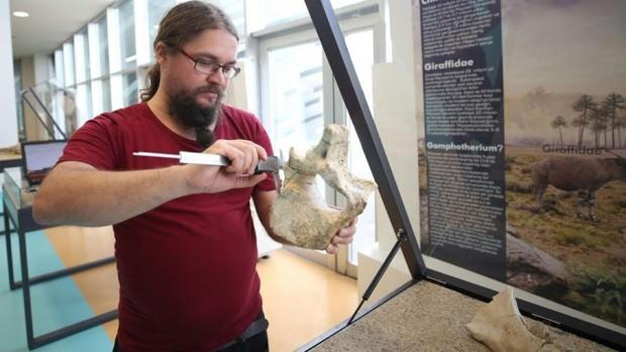 Kayseri'deki fosiller yeni bir türe ait olabilir