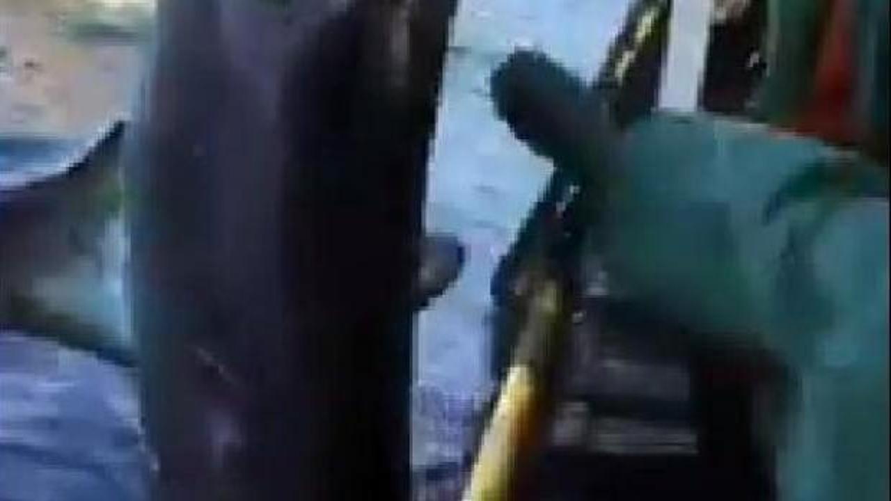 K&ouml;pek balığını tekmeleyip yumruklayan balık&ccedil;ıya ceza