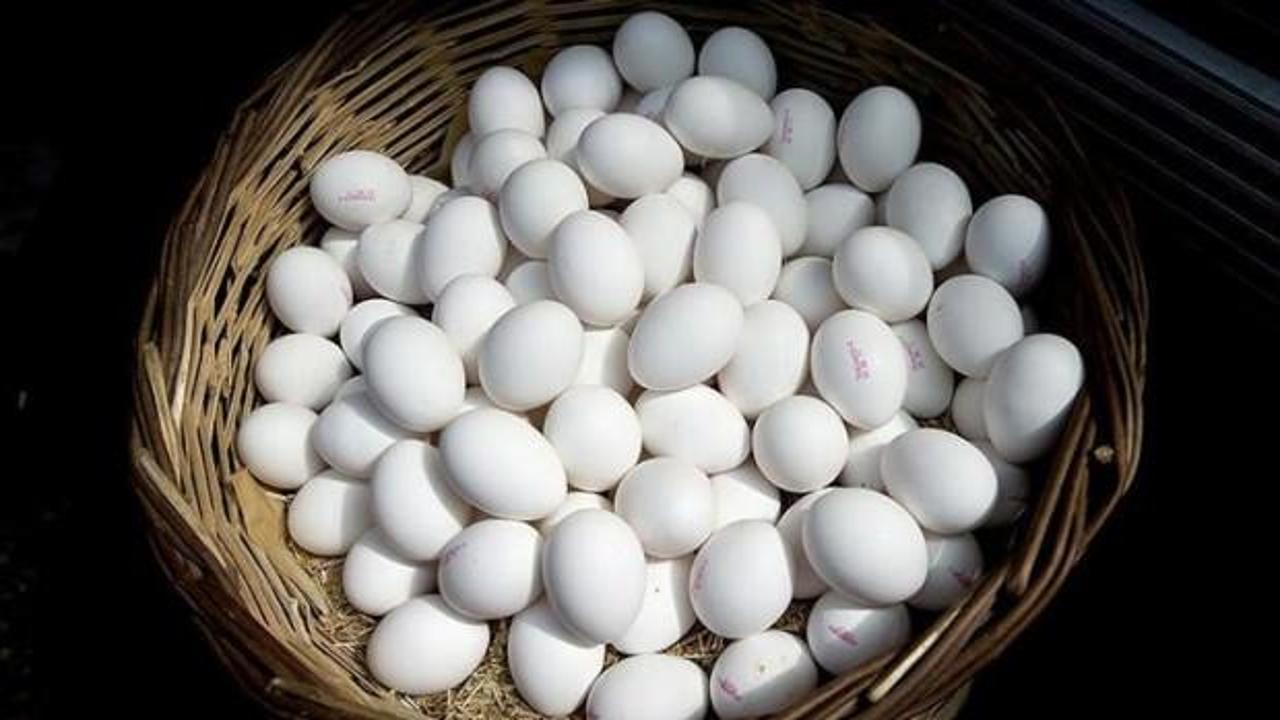 Yumurta ihracatçılarından ABD hamlesi