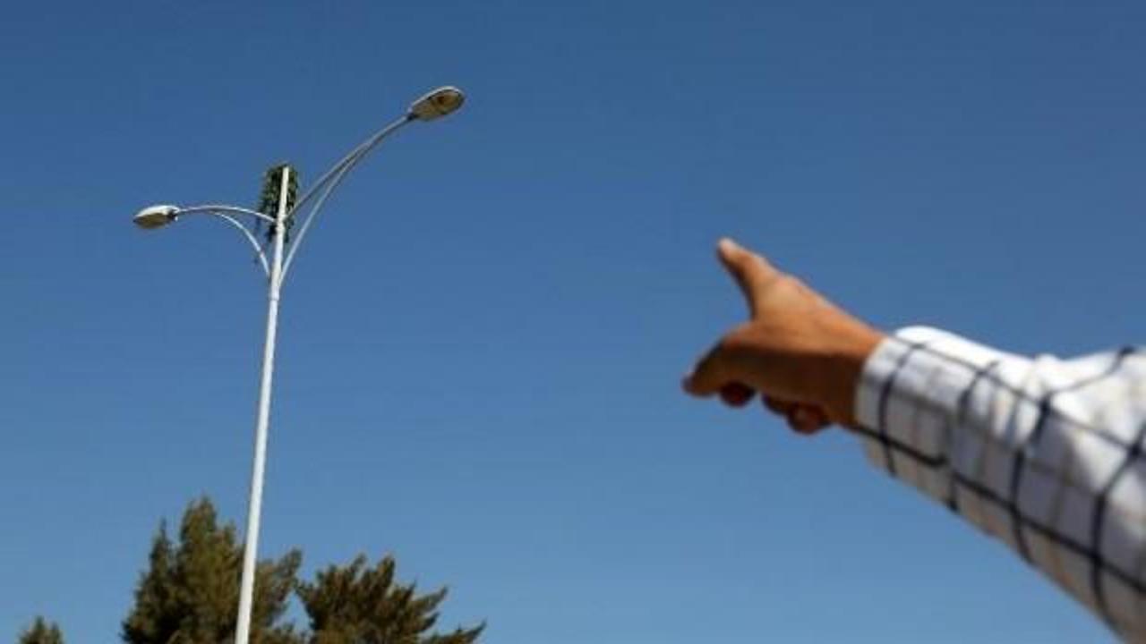 Aydınlatma direğinin tepesinde şaşırtan g&ouml;r&uuml;nt&uuml;