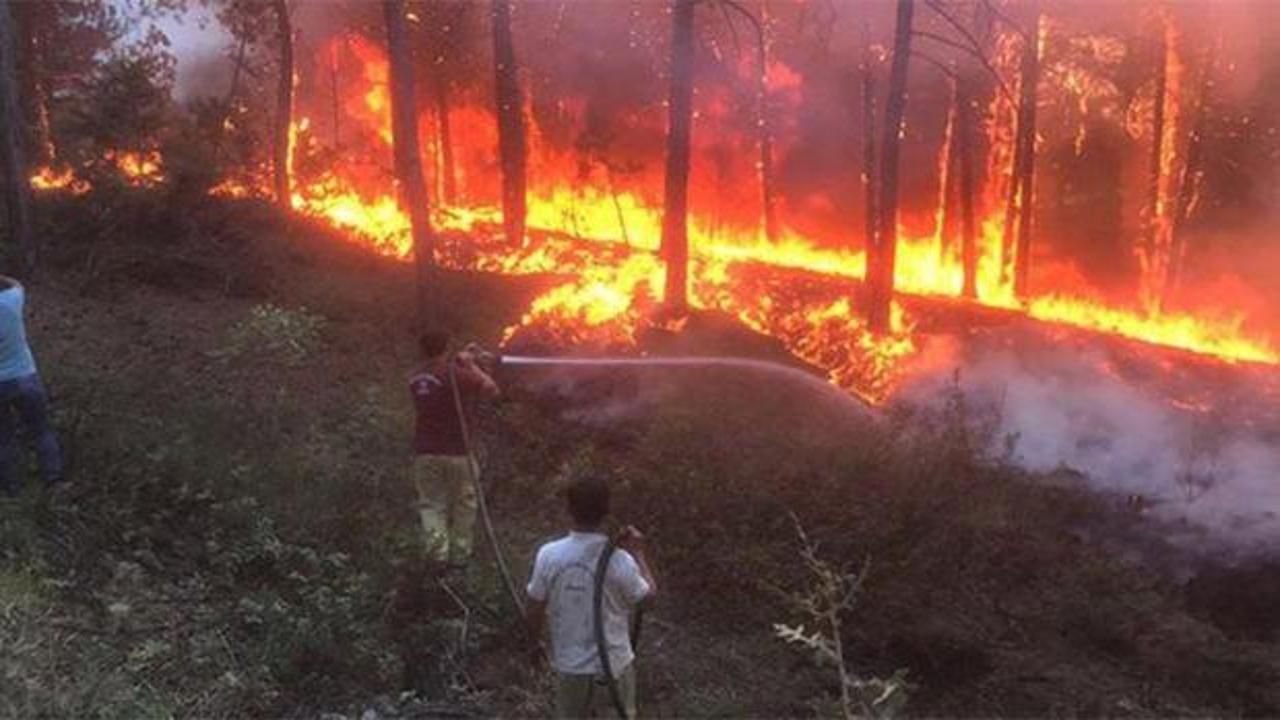 Mersin'de korkutan orman yangını
