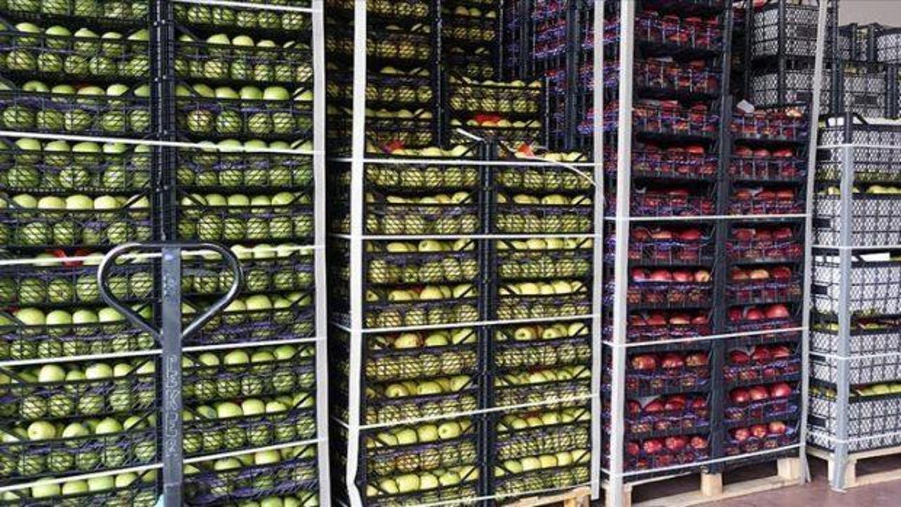 Rusya'ya yaş meyve sebze ihracatı kazandırıyor