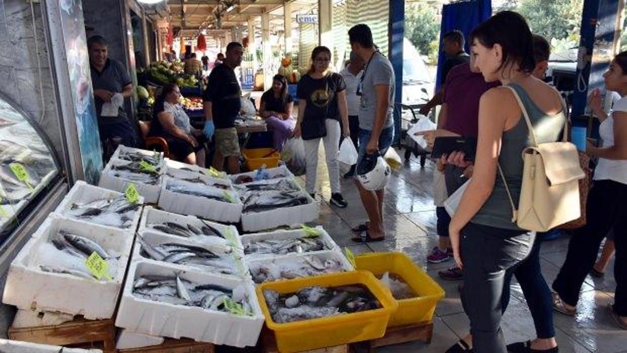 Marmaris'te zehirli balık istilası fiyatları artırdı