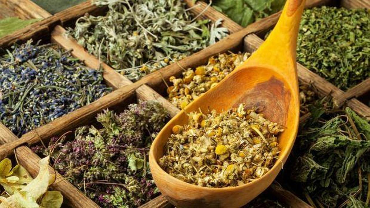 Zayıflama etkili bitki çayı kullananlar dikkat: Ani ölümlere neden olabilir