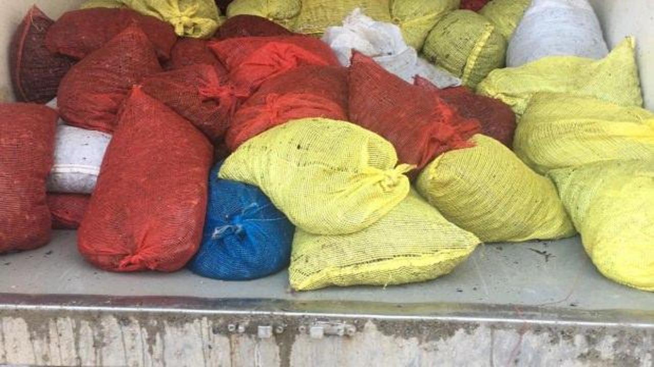Edirne'de toplanması yasak 1 ton 600 kilogram midye ele geçirildi