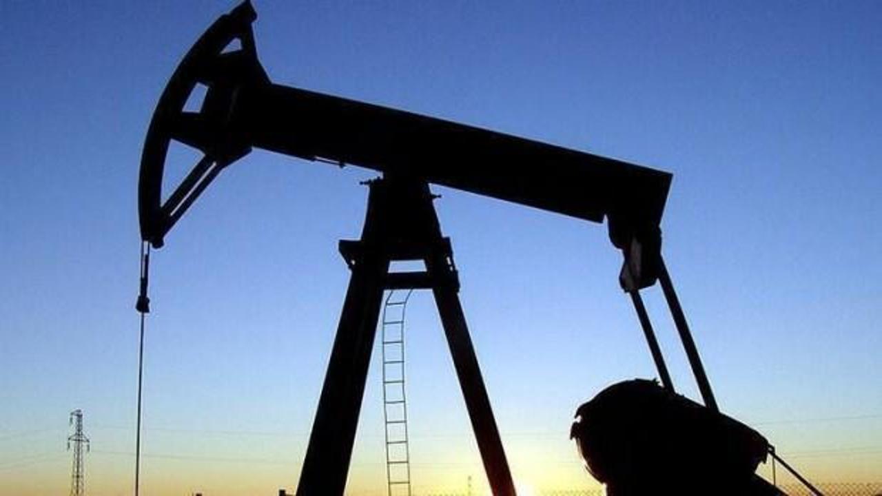 Suudi Arabistan OPEC’e kısıntılara uyum çağrısı yapacak