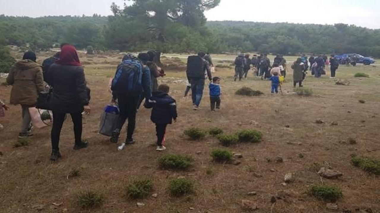 Edirne'de 257 göçmen yakalandı