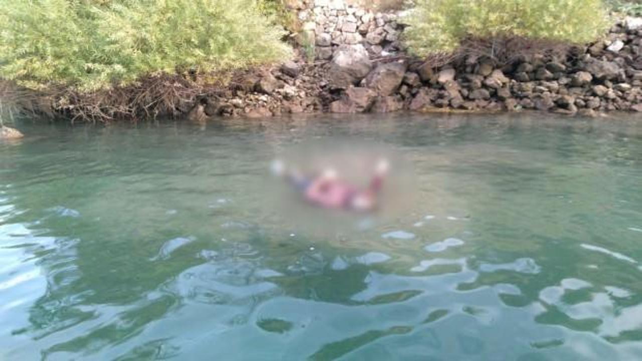 Korkun&ccedil; manzara! Tekne turu yapan turistler dehşeti yaşadı