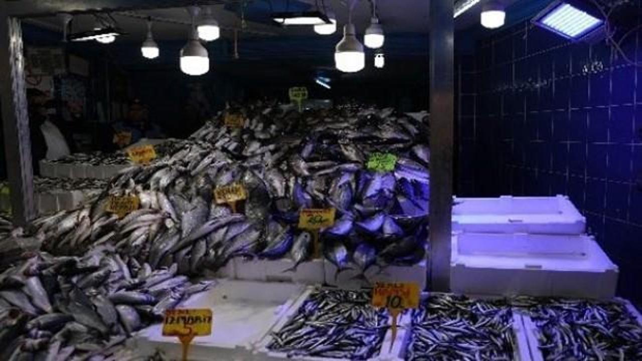 Mavi ışığın sırrı çözüldü