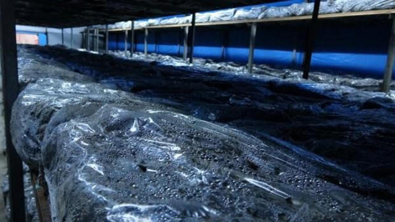 Boş araziyi değerlendirdiler! Her ay memur maaşı...