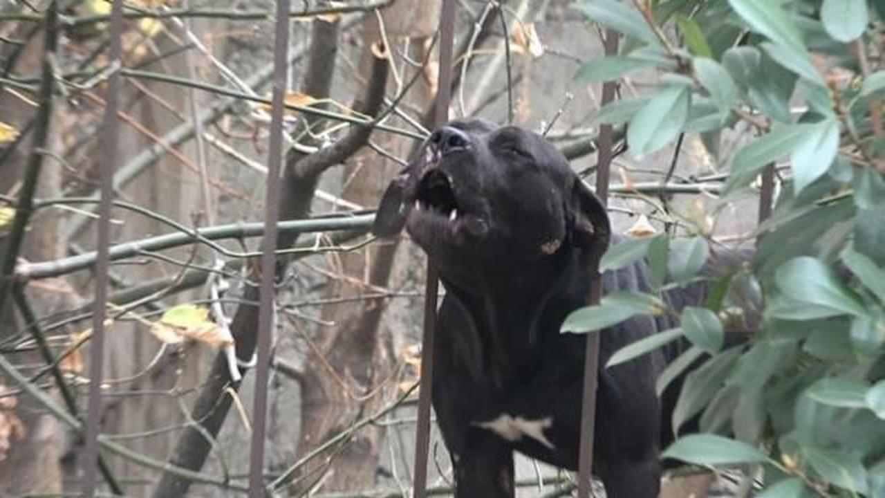 &Ouml;ğrenince kimse yanına yaklaşamadı! Okulda panik...