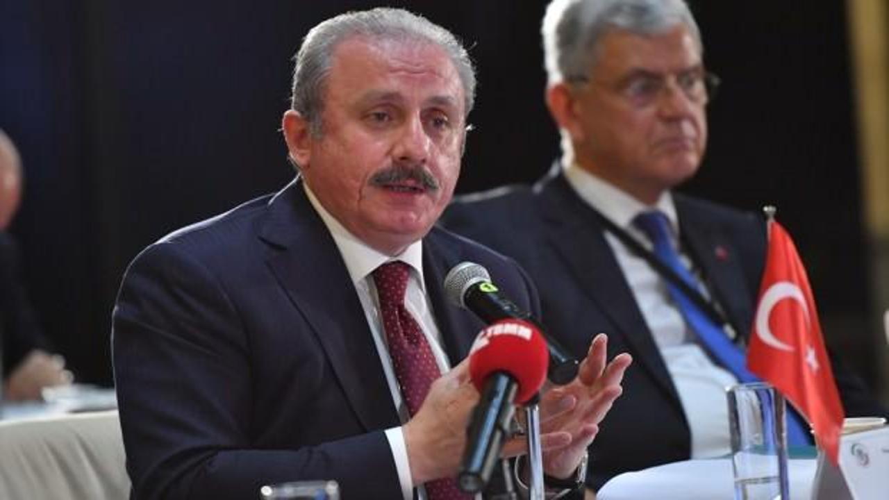 TBMM Başkanı Şentop: Erdoğan liderliğinde önemli başarı elde ettik